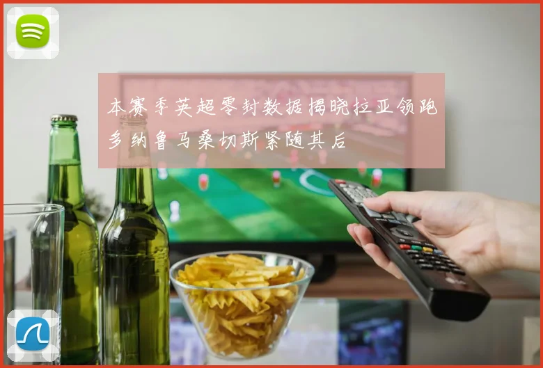 本赛季英超零封数据揭晓拉亚领跑多纳鲁马桑切斯紧随其后